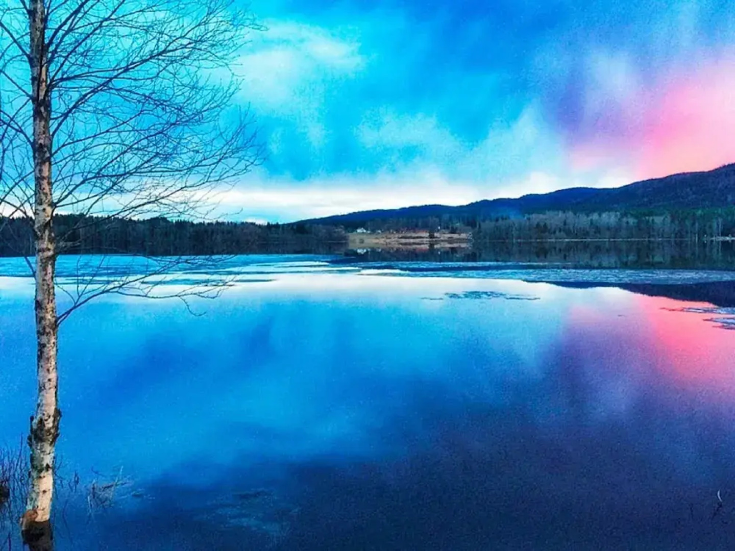 Holiday Home in Torsby