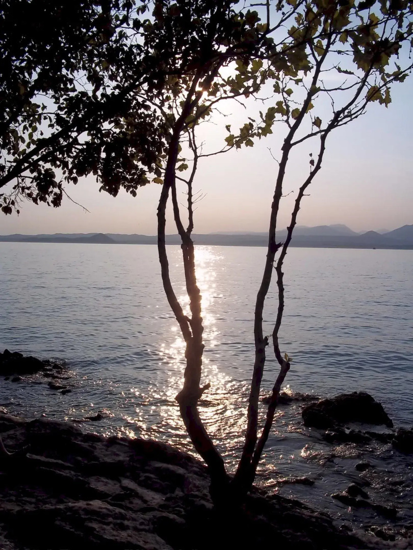 Master Camere ed Appartamenti