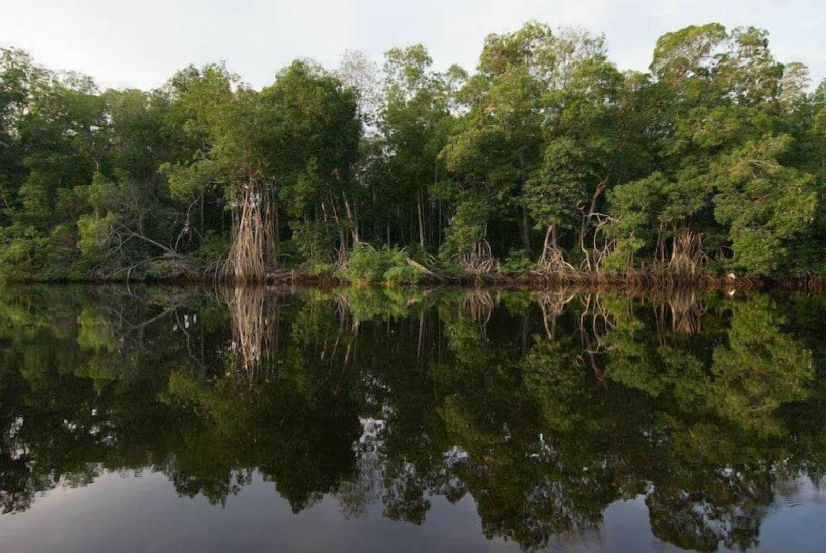 Hotel El Canal Chocohuital