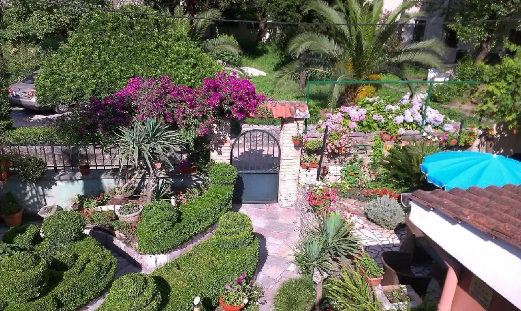 Apartment City Garden