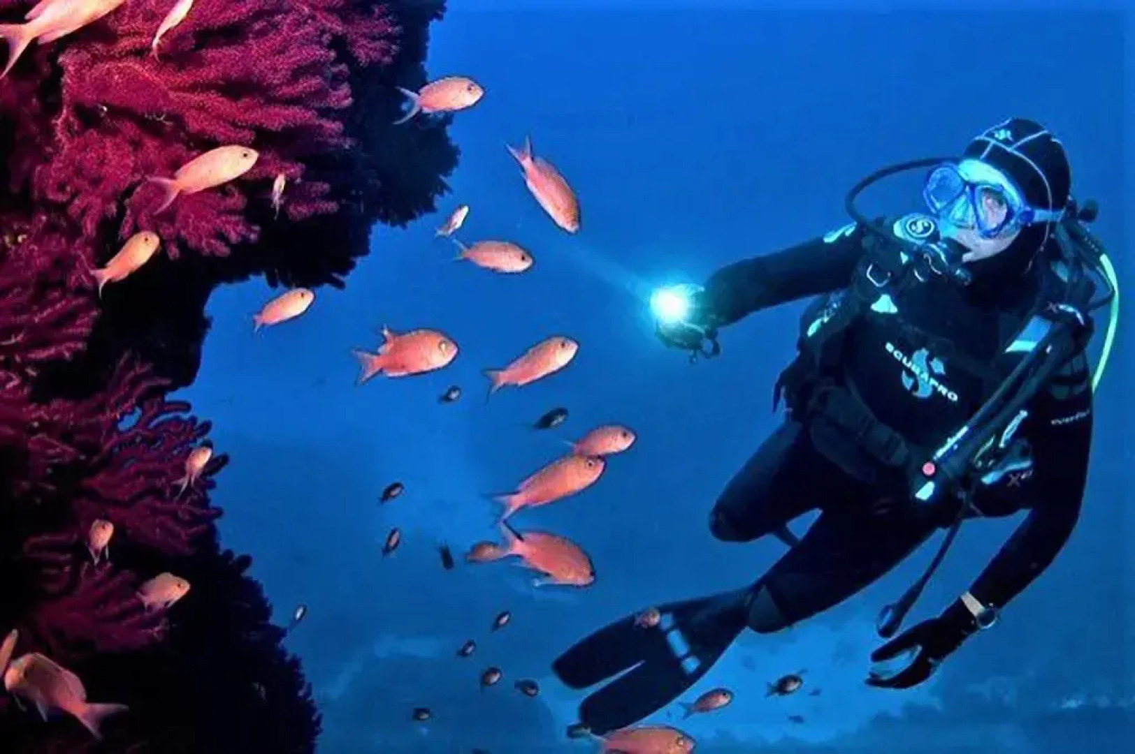 Monterosso Al Mare 20