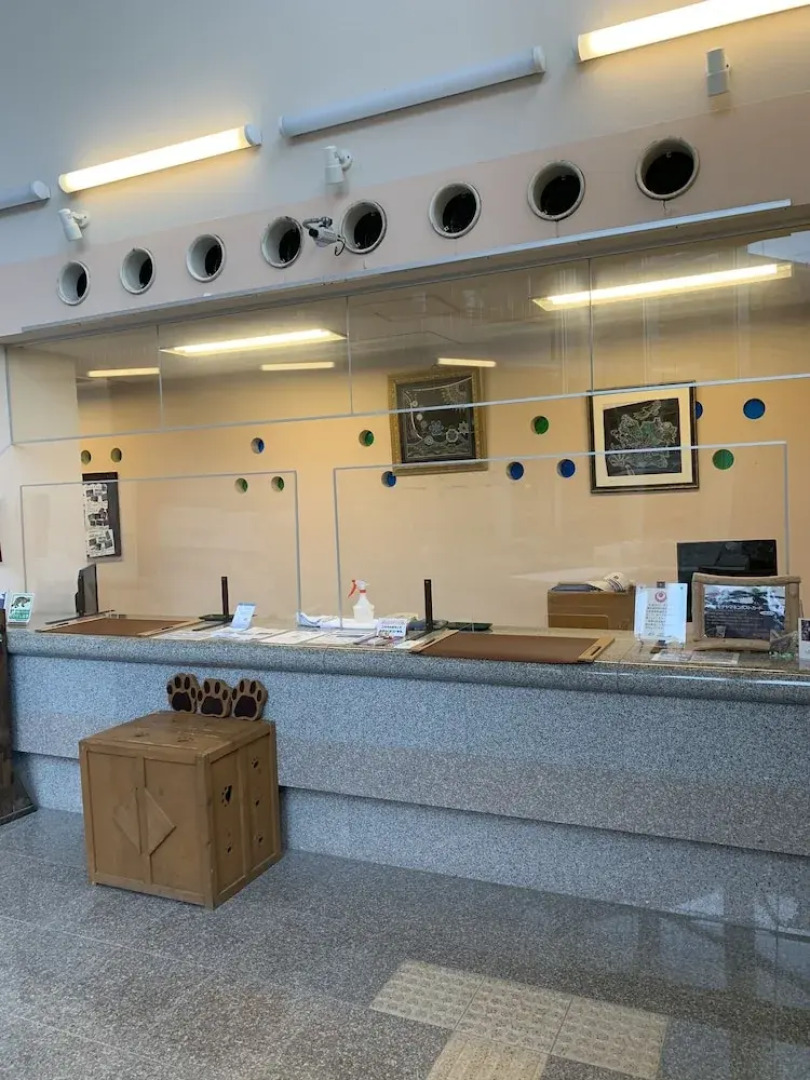 Iriomotejima Jungle Hotel Painumaya