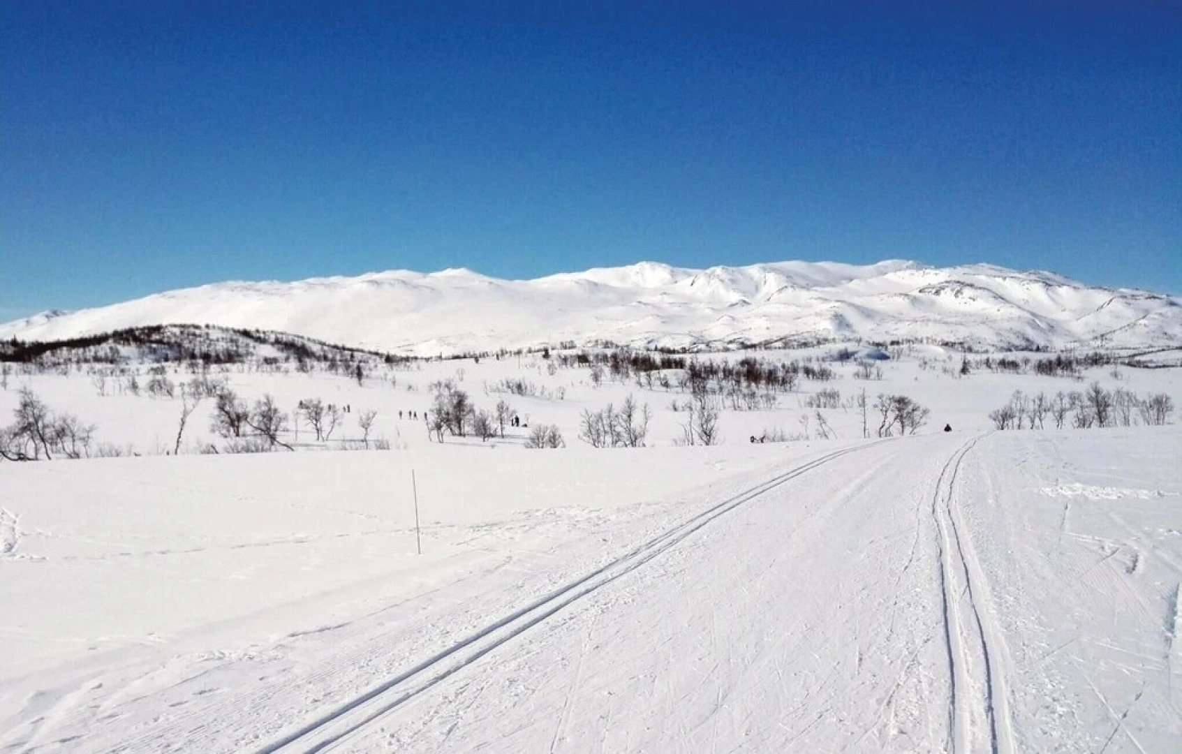 Nice Home in Rauland With 3 Bedrooms and Wifi