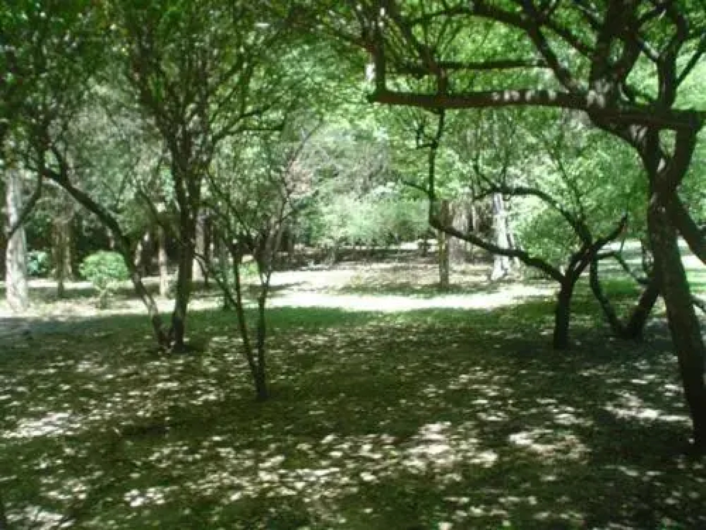 Posada La Campiï¿½a