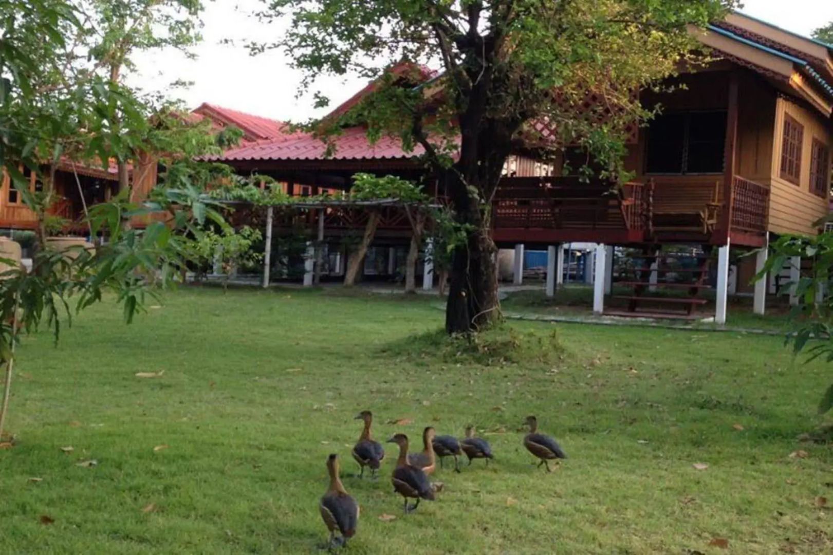 The Little Lopburi Village