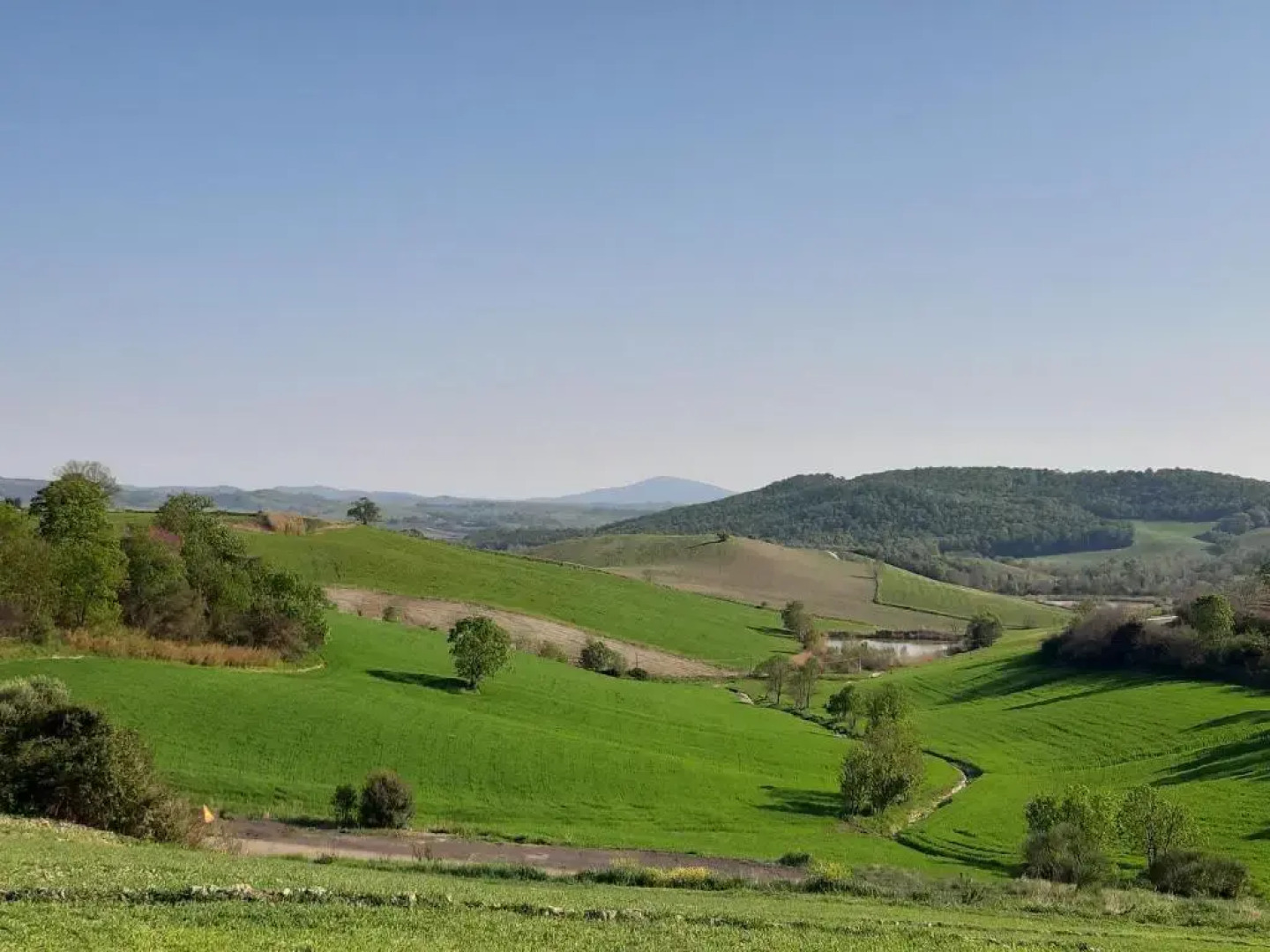 Agriturismo Uliveto Gretacci