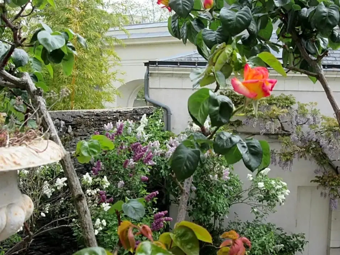 Chambre dHôte Marchand