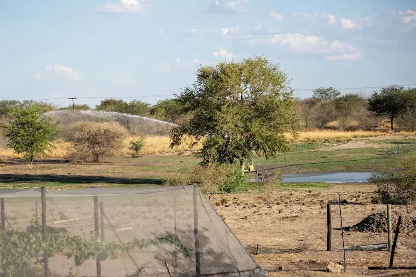 Plot19 Self catering