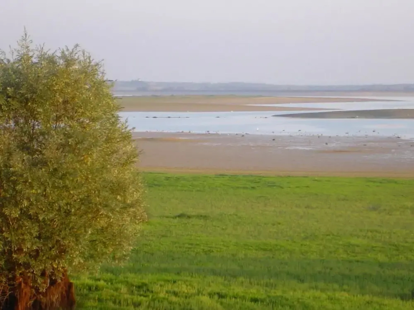 Gite Insolite "La Roulotte des Elfes", Au Milieu de Nulle Part