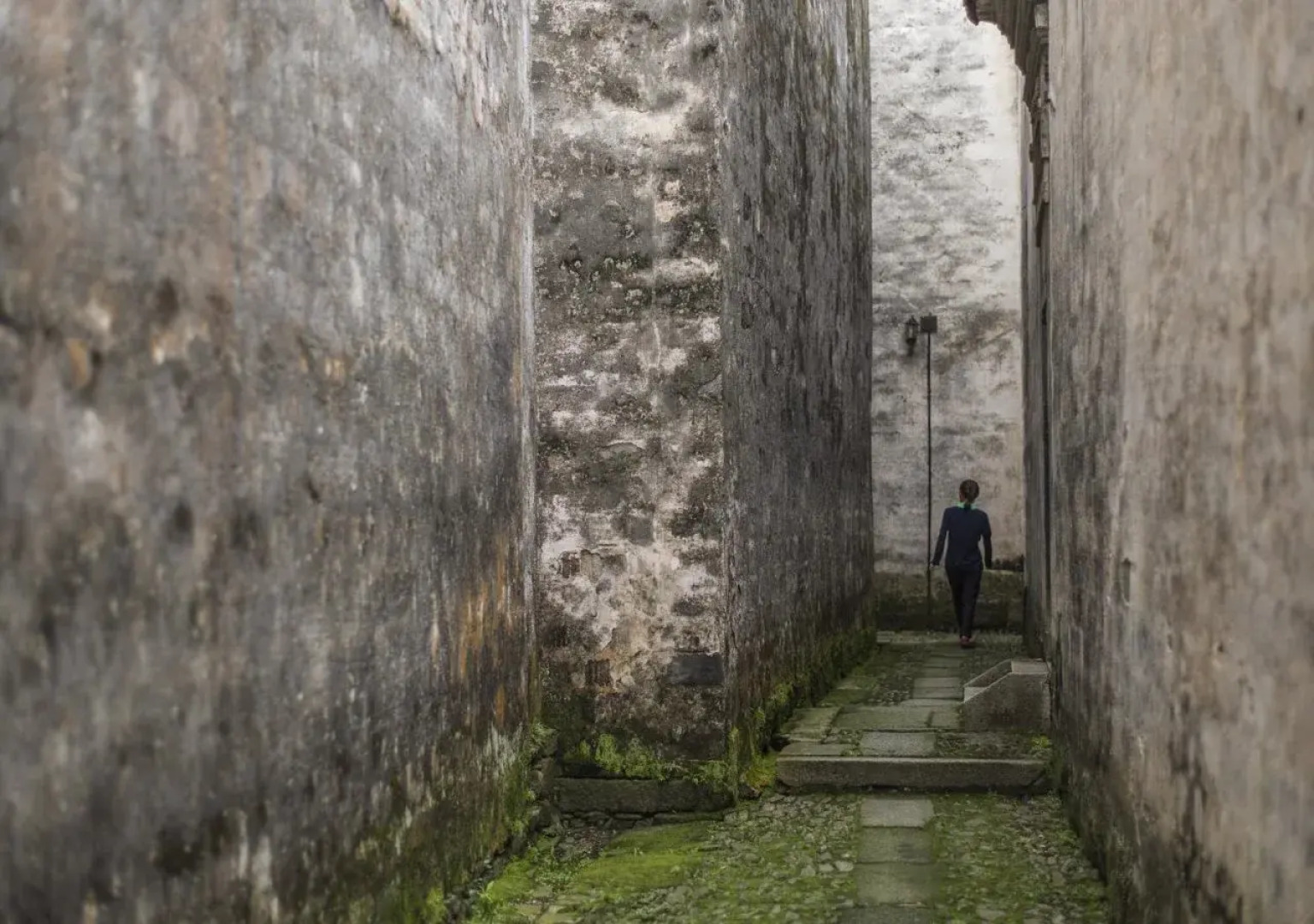 Banyan Tree Huangshan