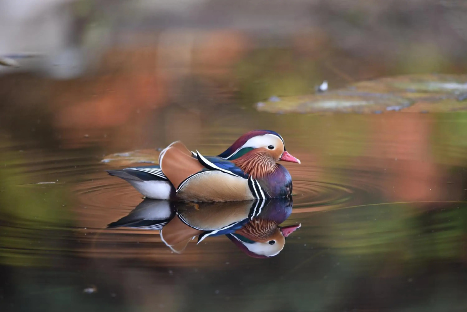 Relais La Foleia - Luxury Villa with private lake