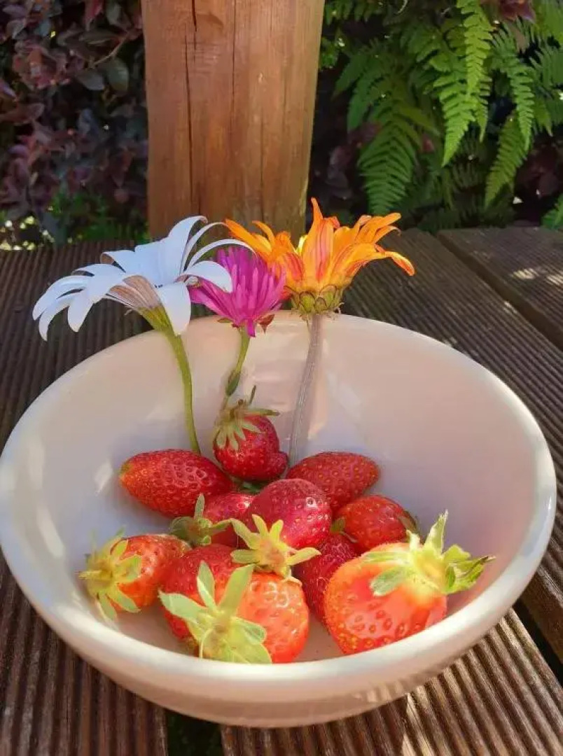 Quinta do Espigueiro