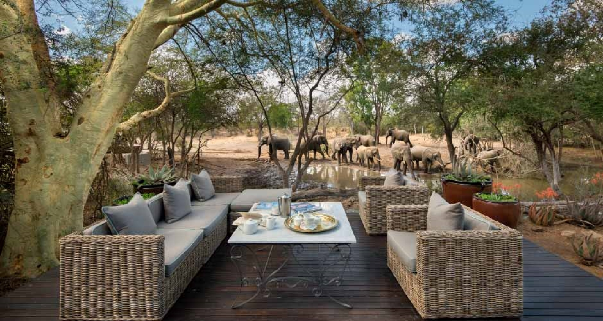 Ngala Private Game Reserve