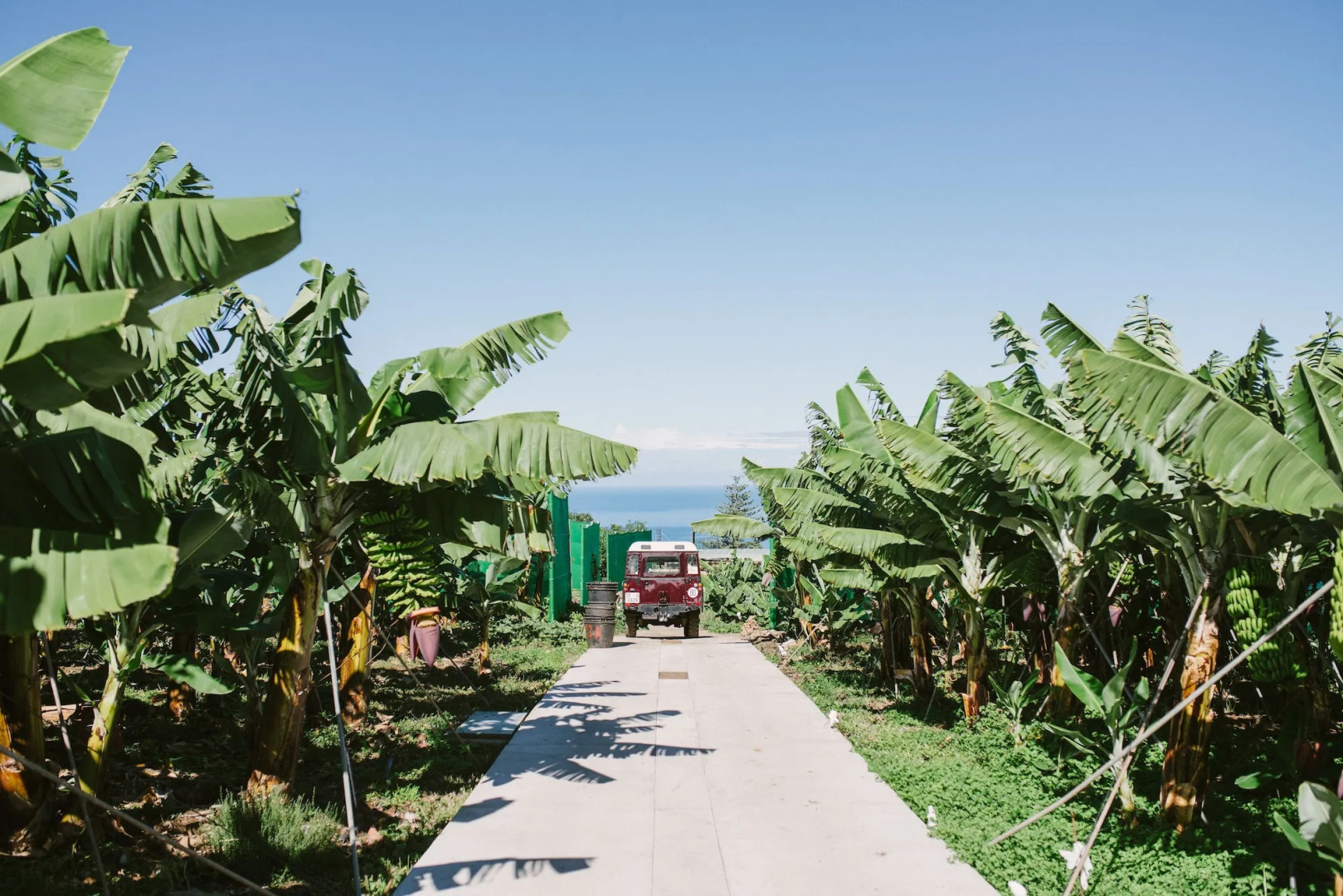 Casa Rural El Patio de Tita