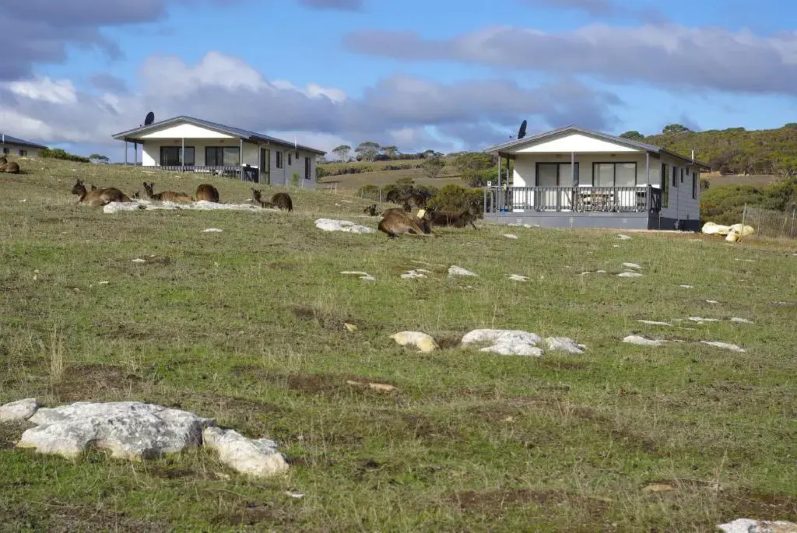 Waves & Wildlife Cottages Kangaroo Island