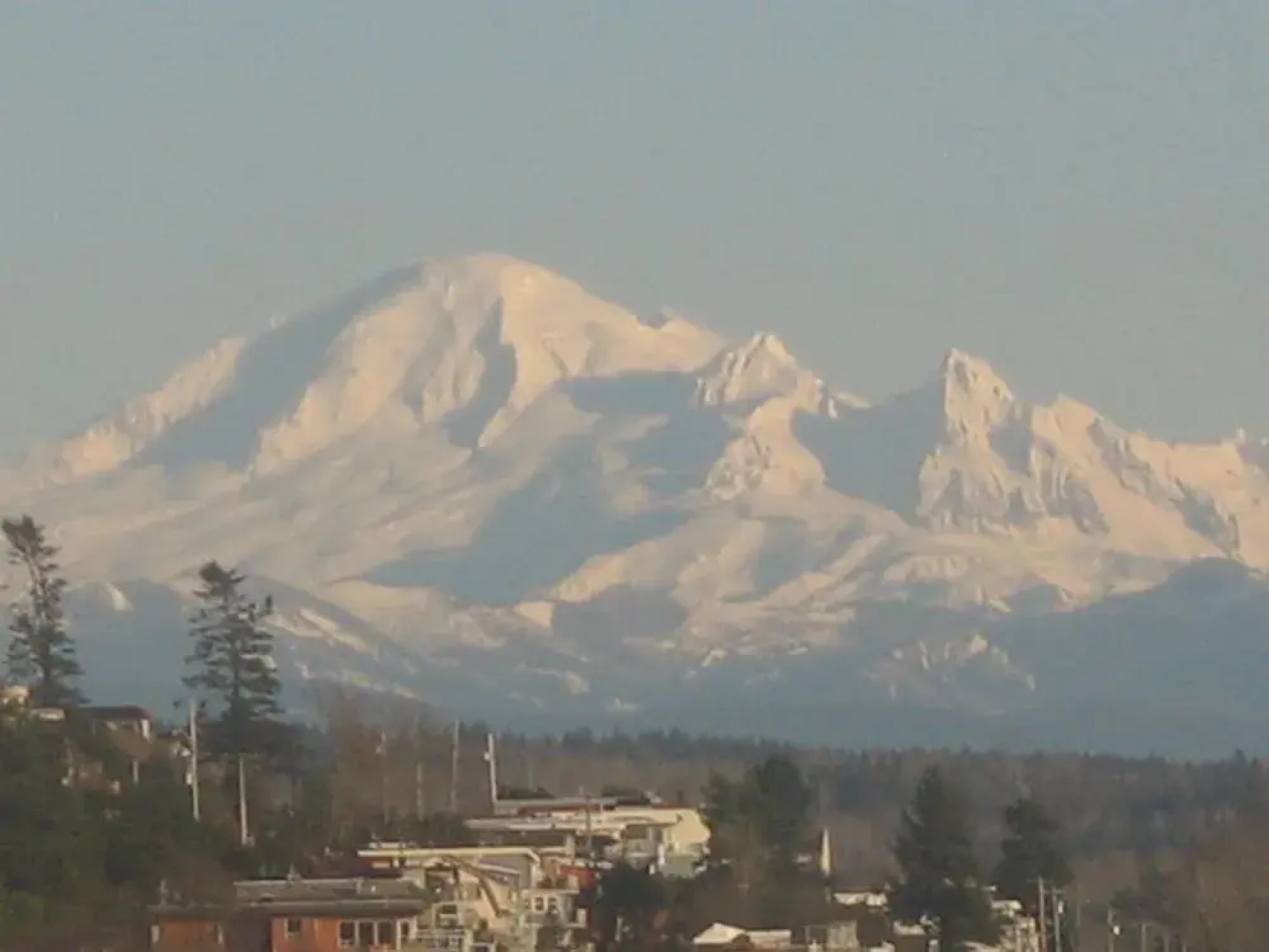 Ocean Rose Bed and Breakfast