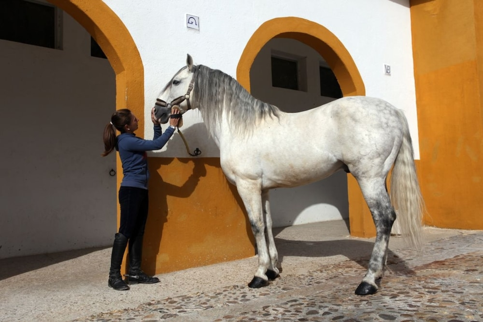 Hotel Spa Villa Nazules