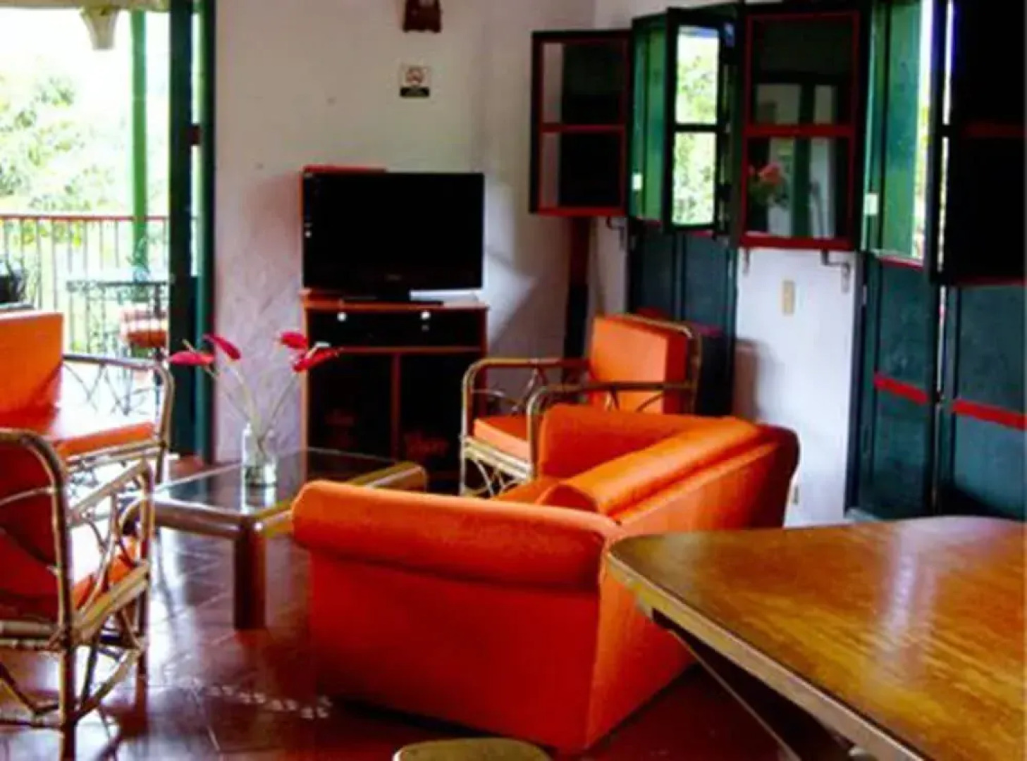 Ecosuits Verdes  - Adults Only