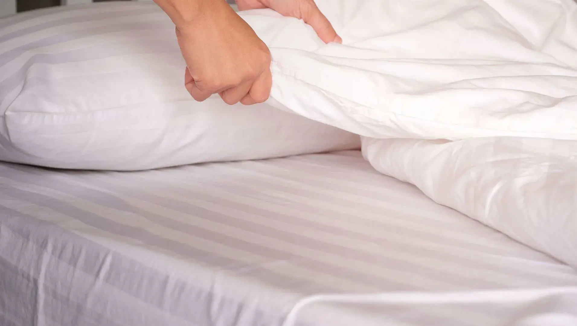 Magnuson Hotel Jacksonville Downtown