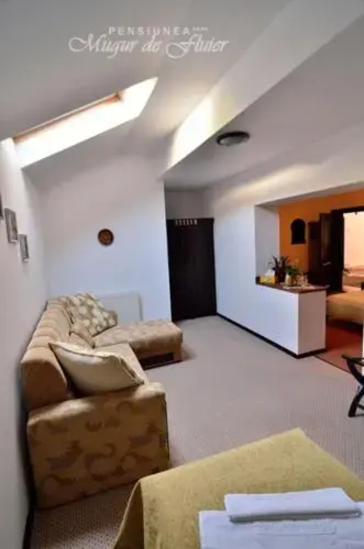 Pensiunea Mugur de Fluier