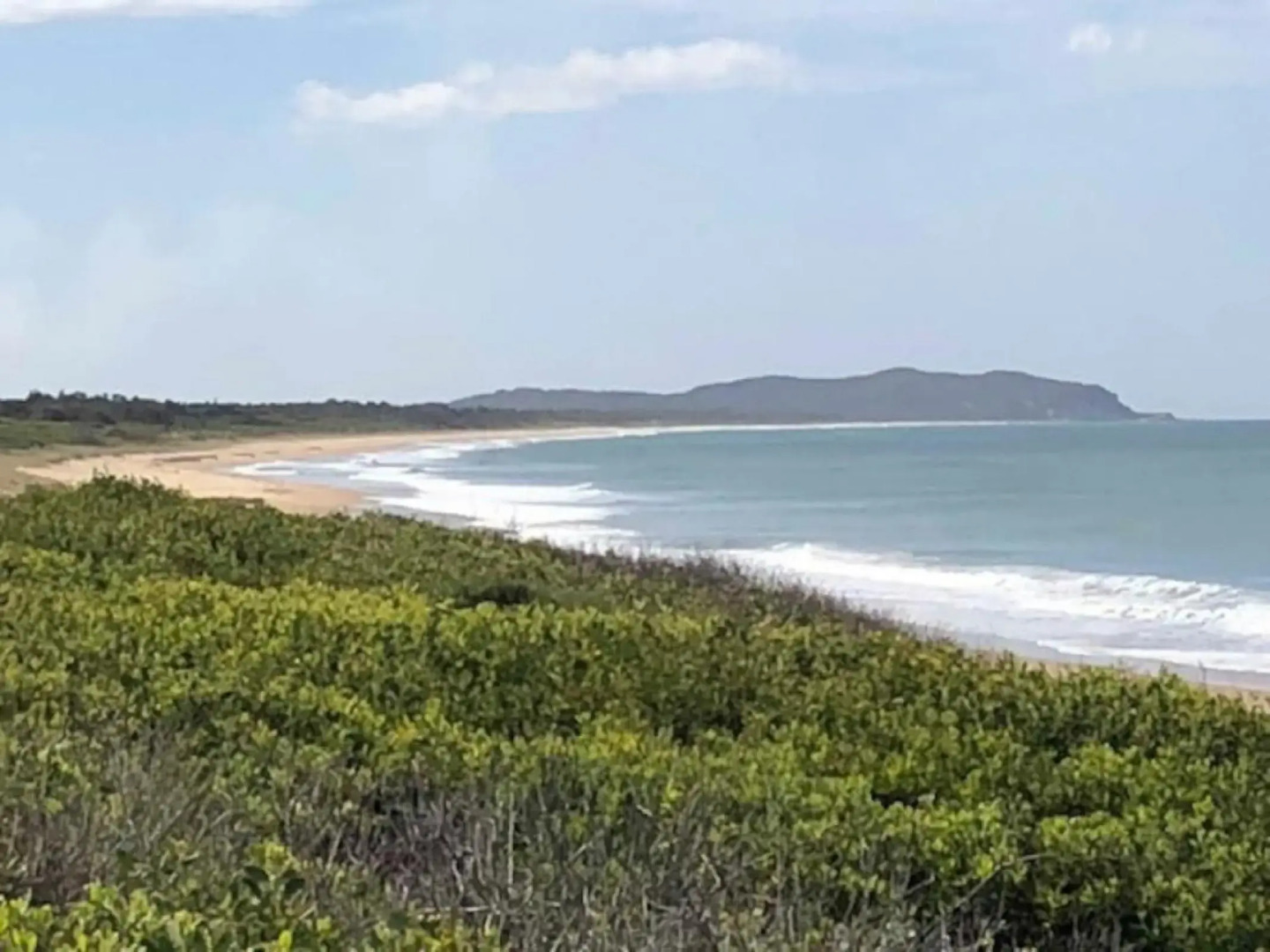 Harrys Haven Harrington