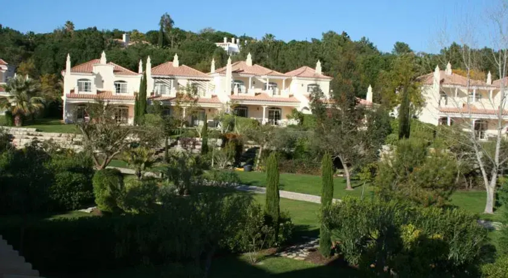 Vale dos Pinheiros III