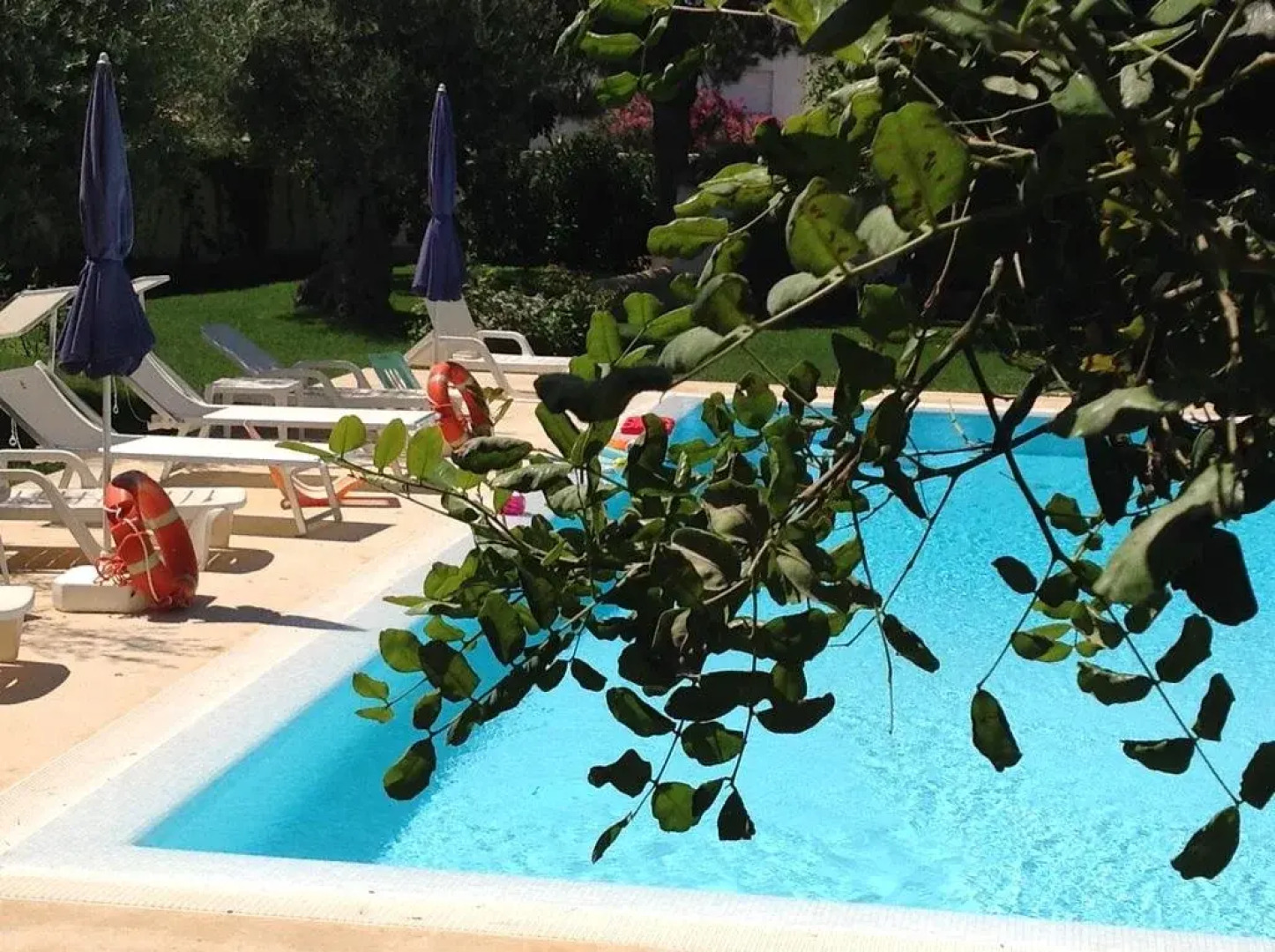 Il Giardino Dei Carrubi