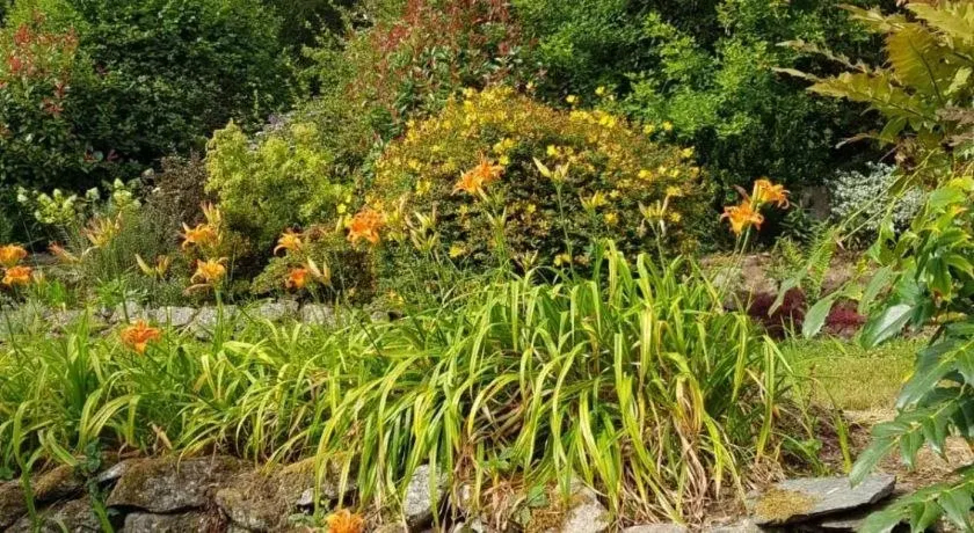 Eastwrey Barton - Guest house
