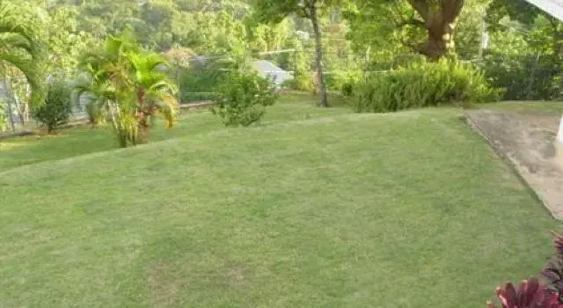 Hill Top Kingston Jamaica Bed & Breakfast