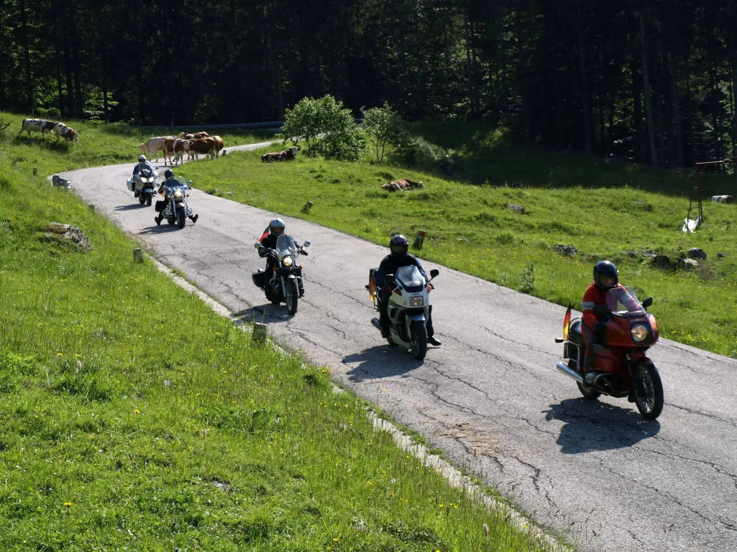 Al Gallo Forcello 1530