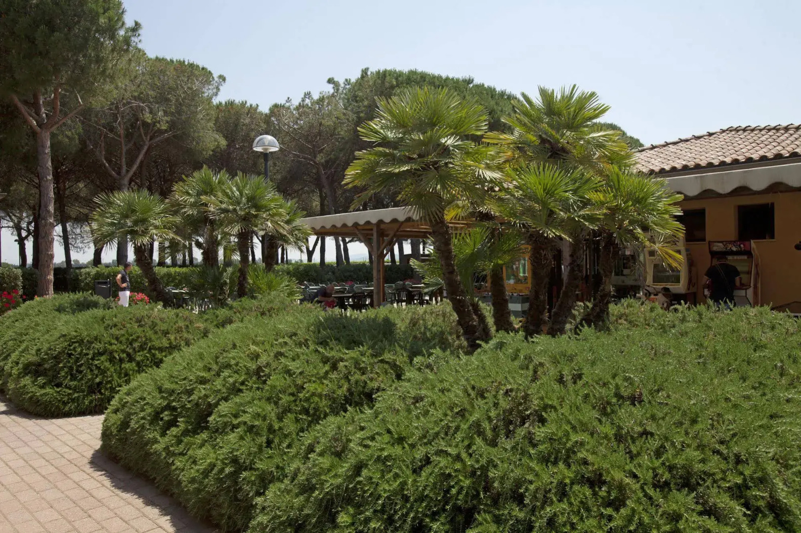 Village Golfo degli Etruschi