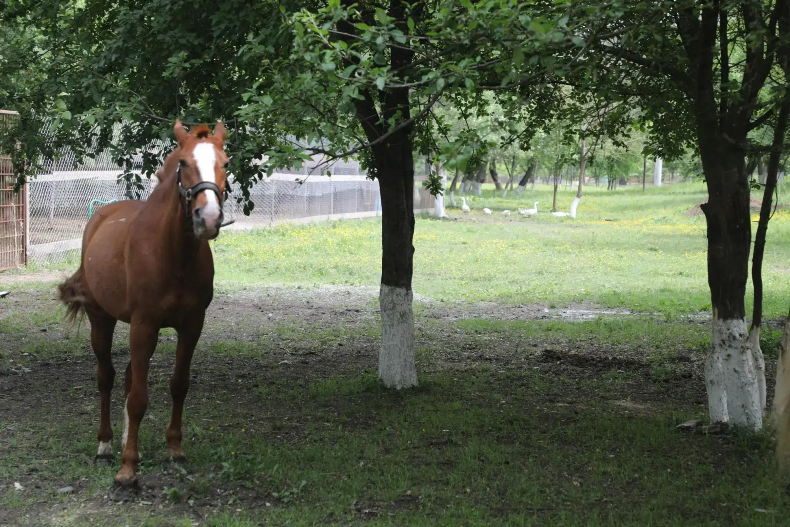 Беной Тревел Озеро