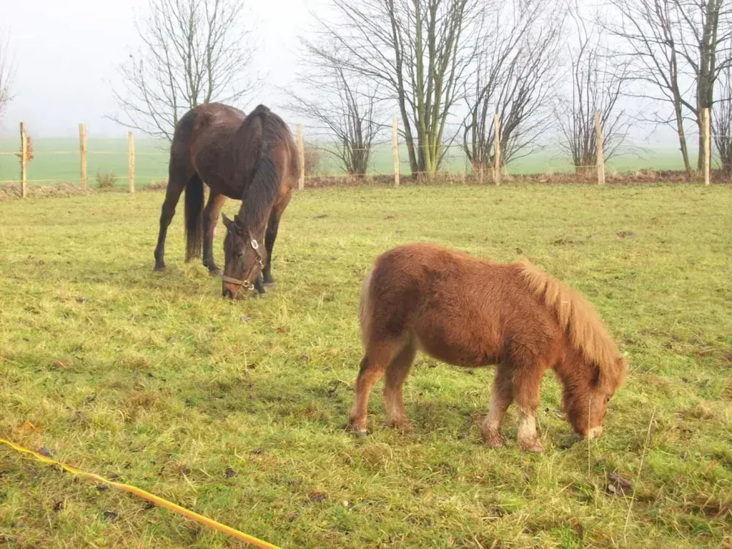 Wohnung in Blowatz an der Ostseekuste