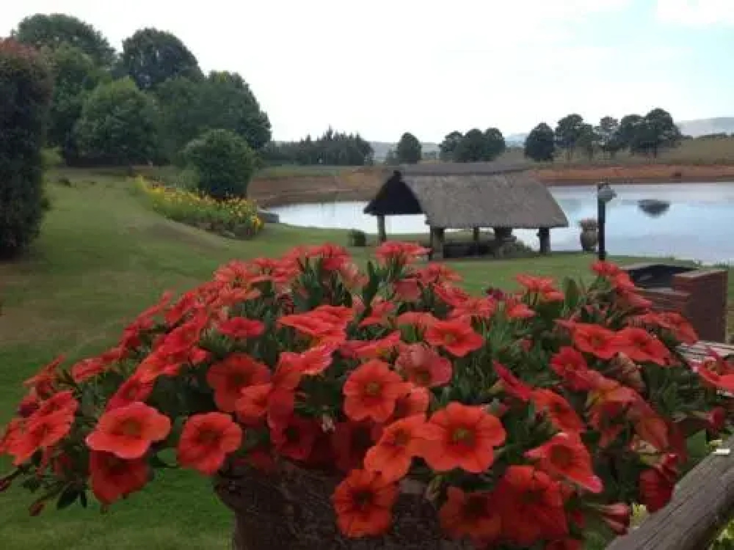 Willowbrooke Cottage