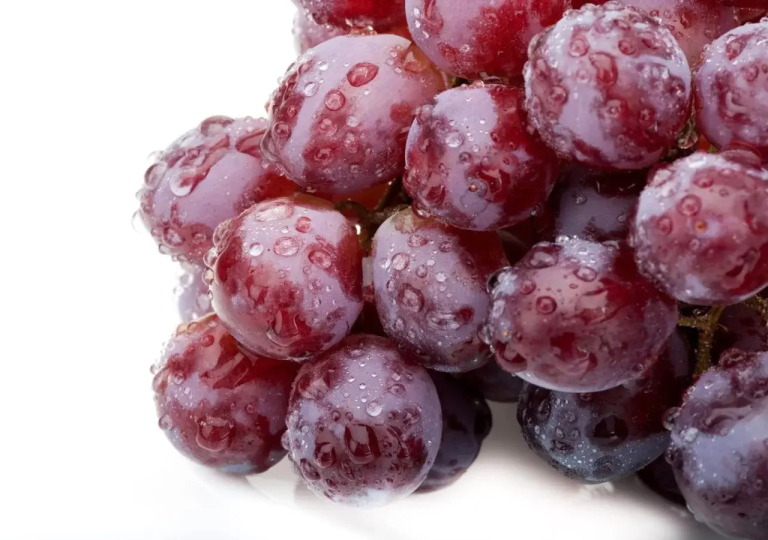 The Westin Los Angeles Airport