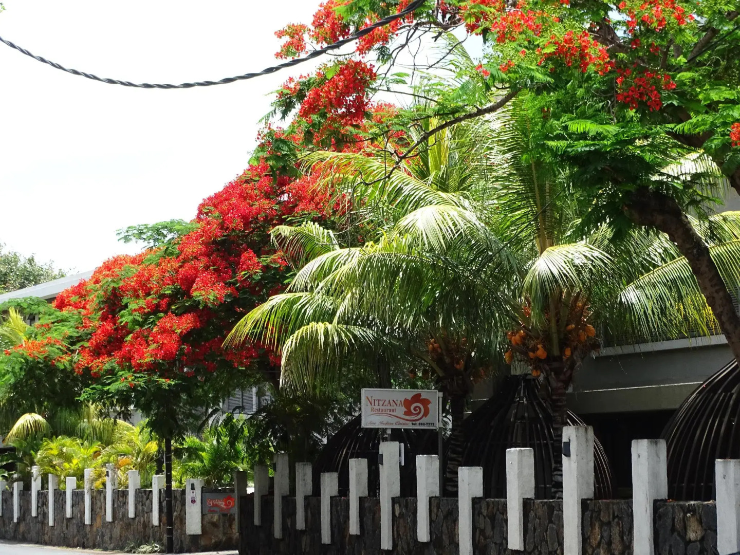 Nitzana Residences & Restaurant