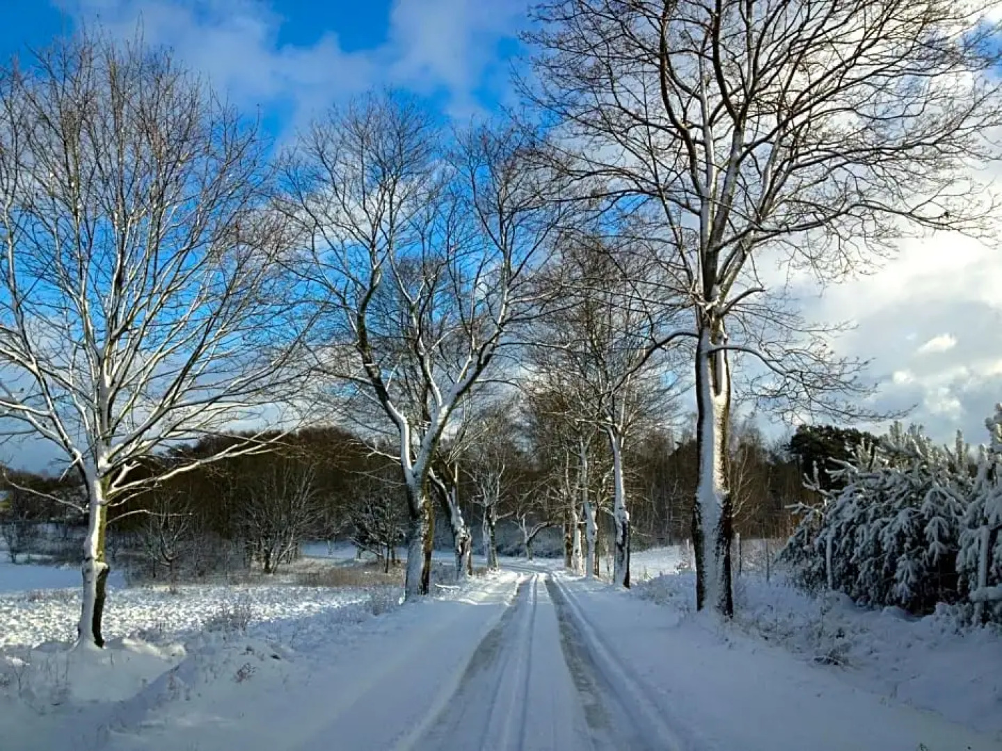 Dom Gościnny Stara Szkoła