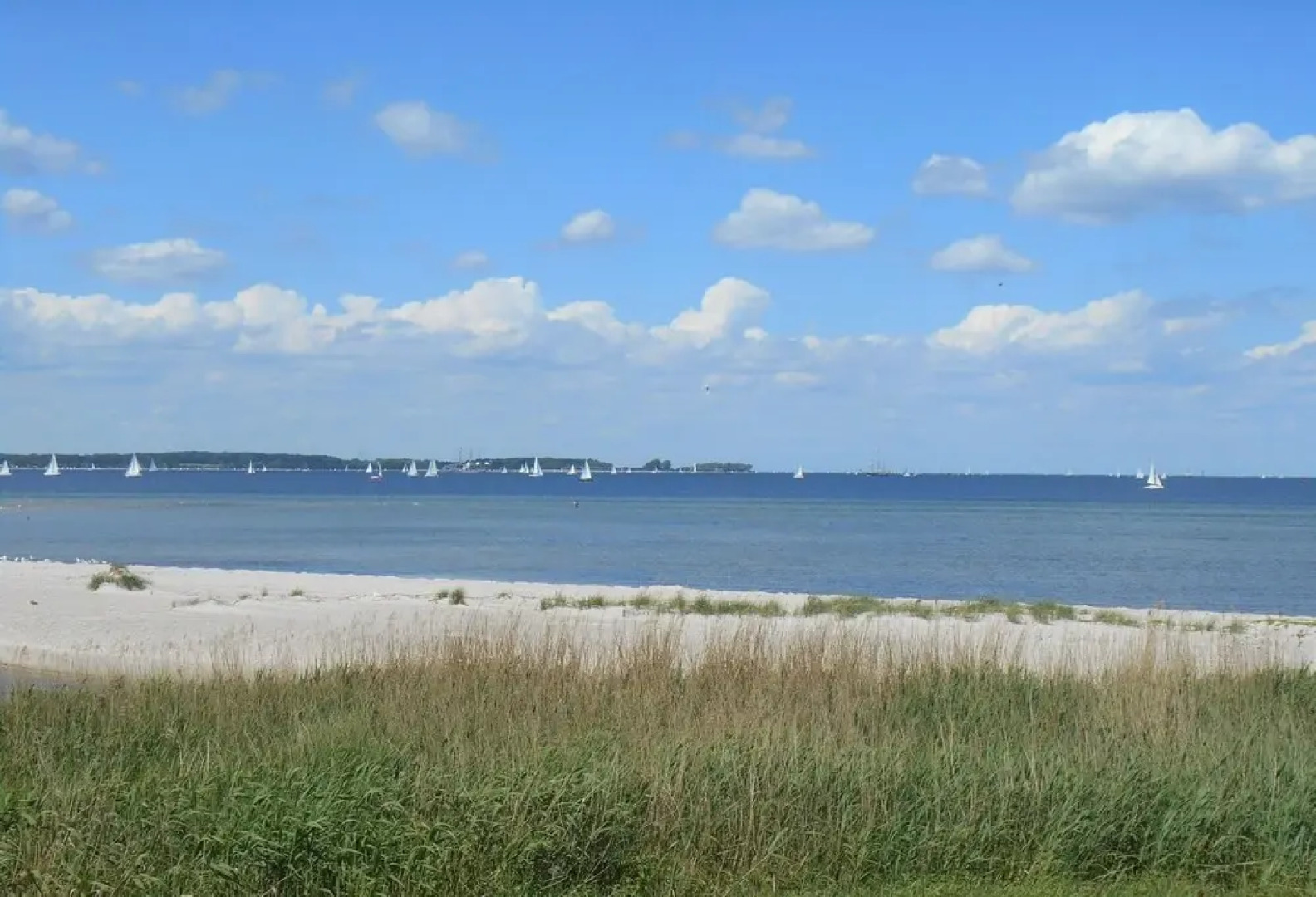 Ferienwohnung-Moltrecht-2