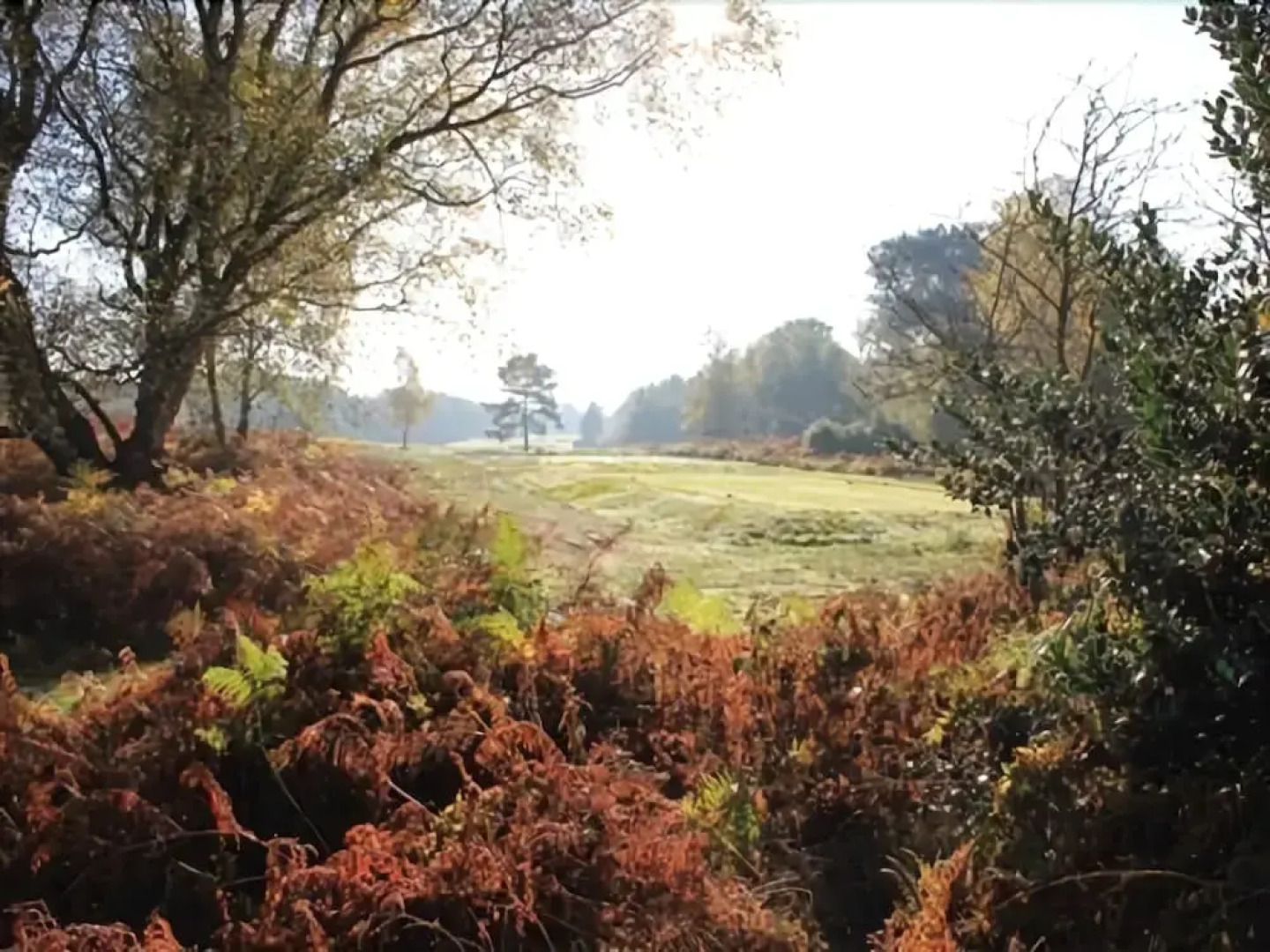The Follies Cottage B&B