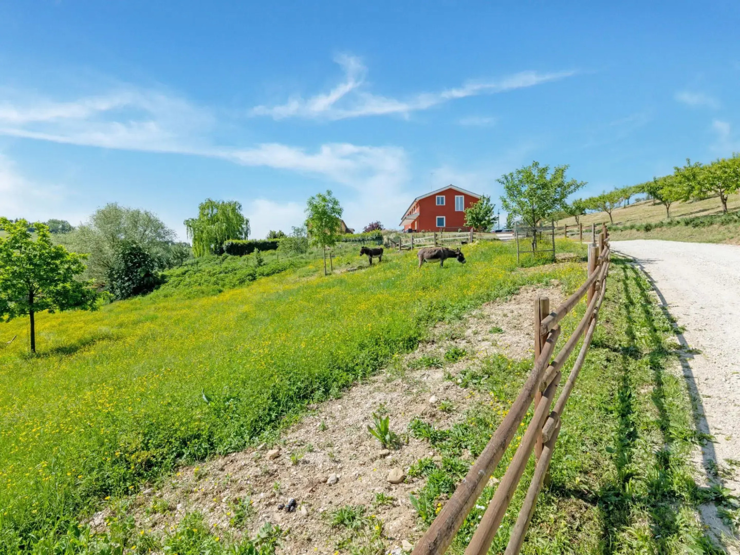 Rural apartment in Matelica with shared pool