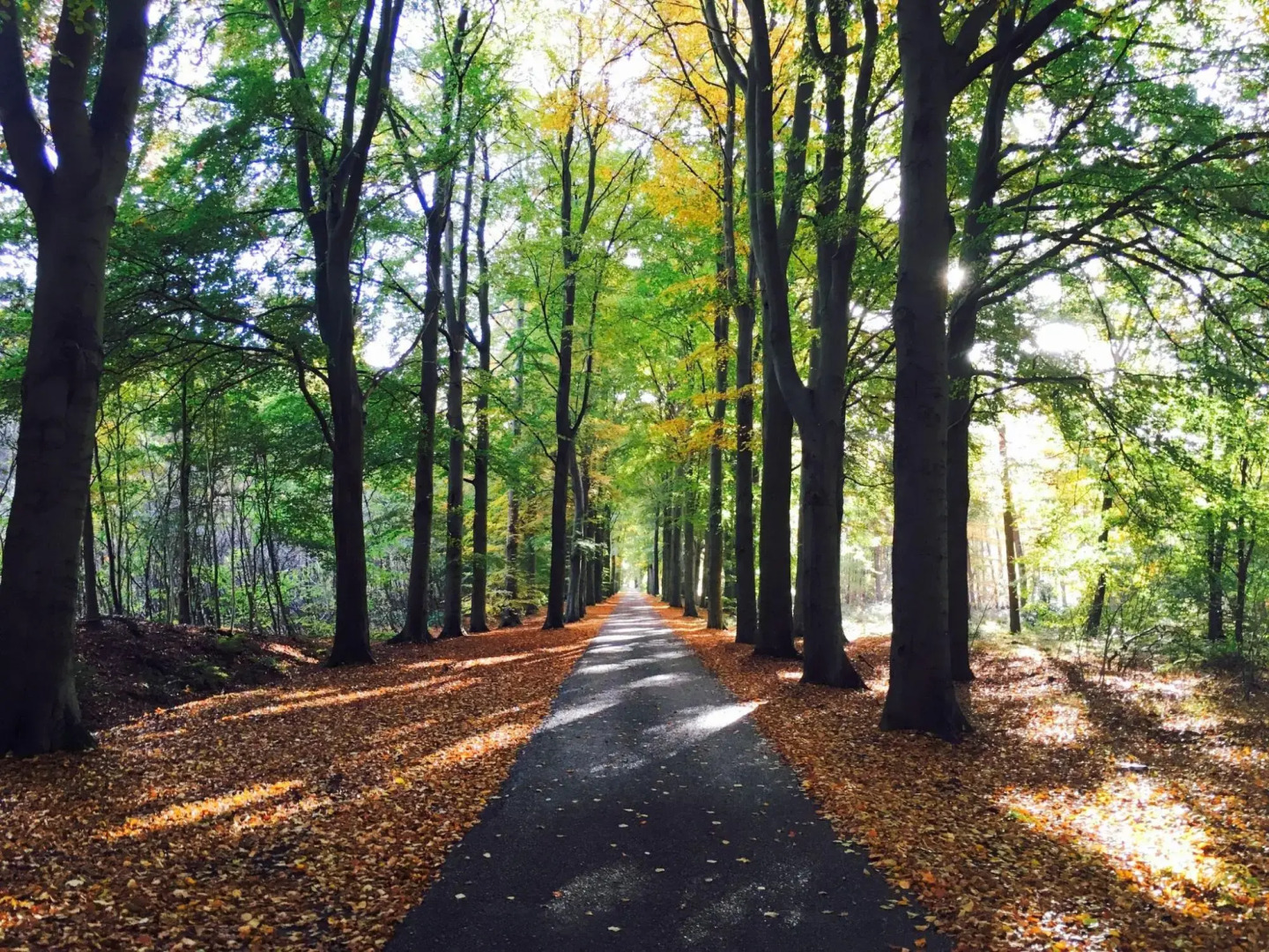 Cozy Holiday Home in Zorgvlied with Private Garden