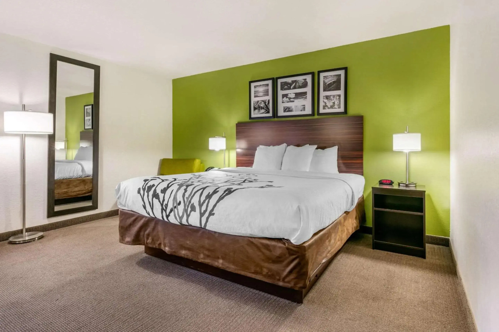 Sleep Inn & Suites near Sports World Blvd