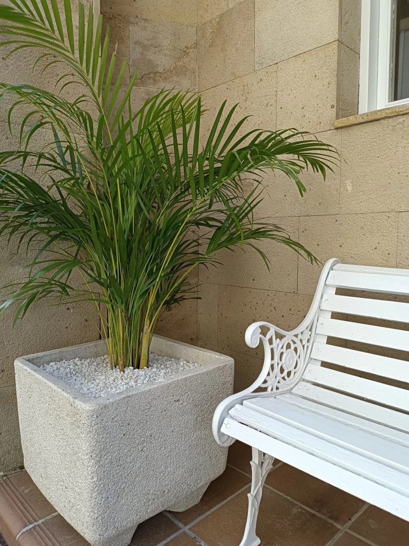 Hotel Posada del Mar