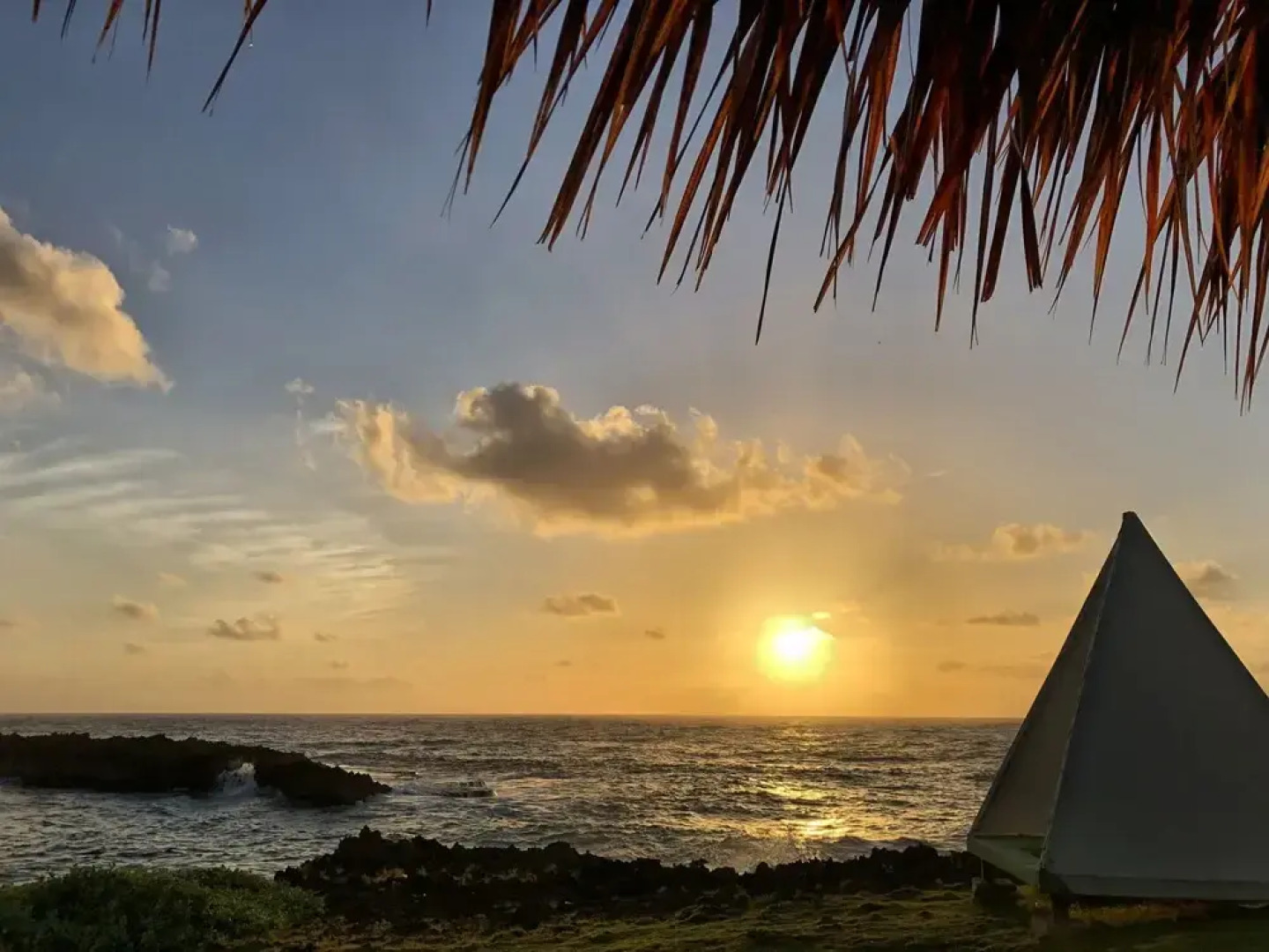 Go Natural Jamaica Retreats