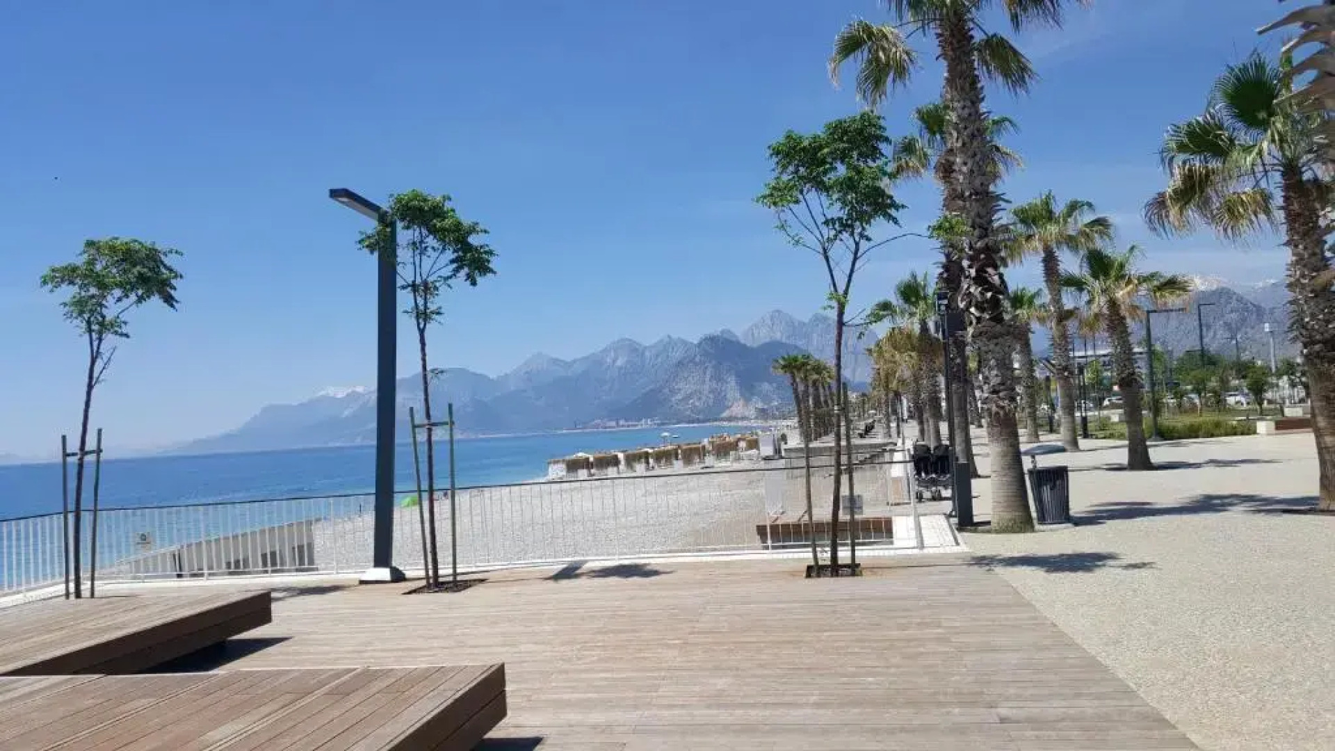 Mango Suite Apartment