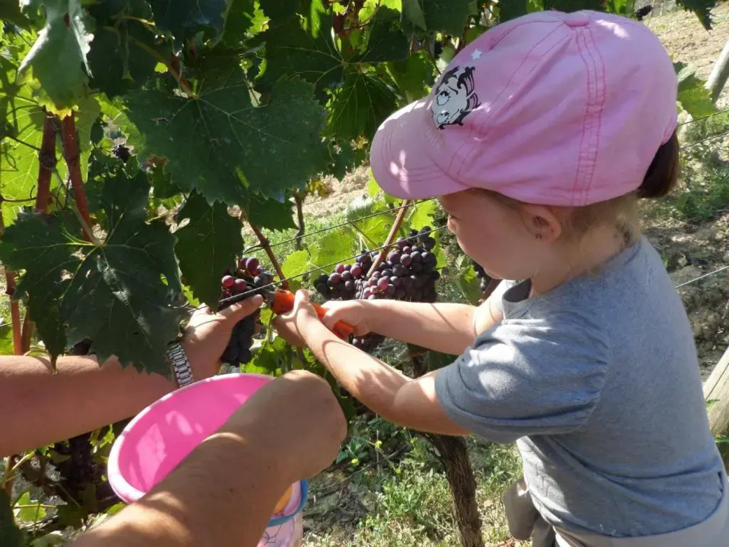 Azienda Agrituristica Cappellese
