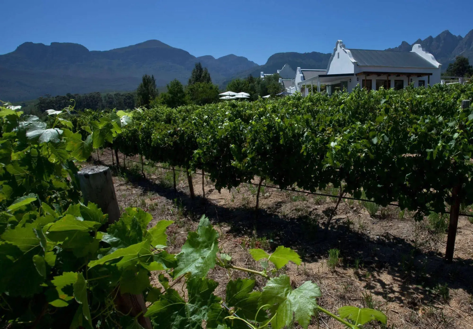 Dunstone Country House