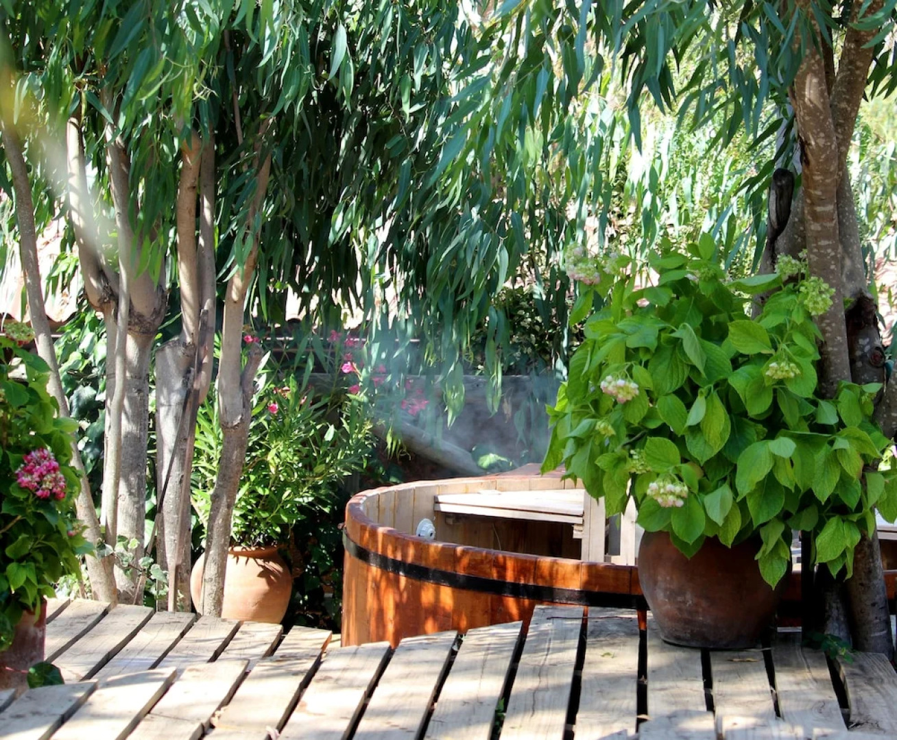 Hotel & Spa Colinas de Cuncumen