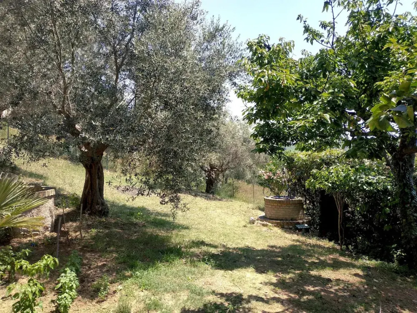 Villa Maja Country House