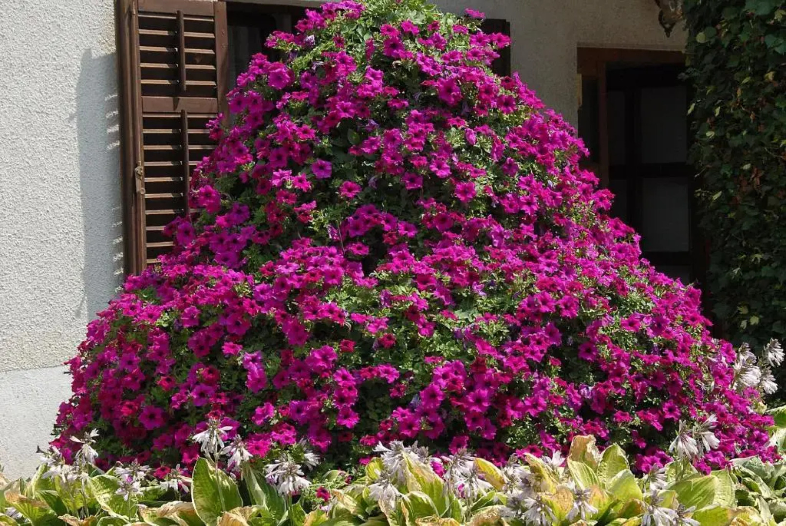 Guesthouse Pri Štefanu